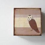 Barn Owl With Neutral Stripes 5x5 Art Block Wood..