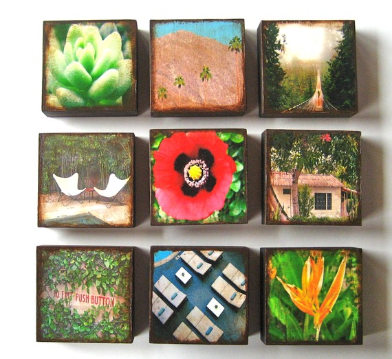 4x4 Photo Block Trio Choose Three 3 Mix And Match Art Photography Wood Block Red Green Blue Nature Landscape Flower Garden Red T