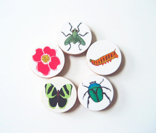 Five Magnets Bugs Butterflies And Blooms 1.5 Inch Round Green Orange Blue Pink Insects Flowers Red Tile Studio