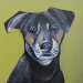 Dog Custom Painting Pet Portrait 8x8 Original Art..