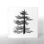 6x6 Art Block Painting Pine Tree Black White Texas..