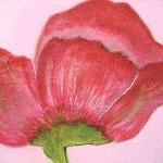 Pink Poppy Flower 5x5 Original Painting Modern..