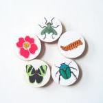 Five Magnets Bugs Butterflies And Blooms 1.5 Inch..