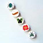 Five Magnets Bugs Butterflies And Blooms 1.5 Inch..
