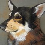 Custom Dog Painting Pet Portrait 8x8 Original Art..